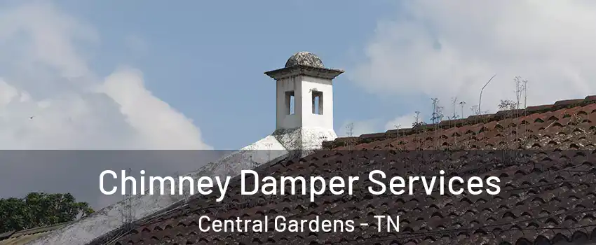 Chimney Damper Services Central Gardens - TN