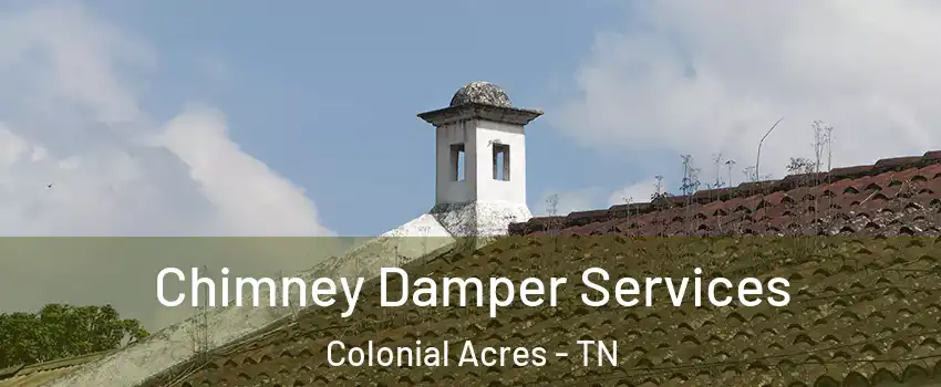 Chimney Damper Services Colonial Acres - TN