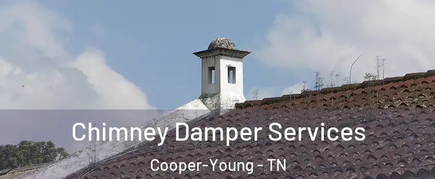 Chimney Damper Services Cooper-Young - TN