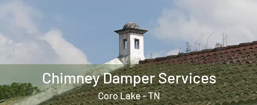 Chimney Damper Services Coro Lake - TN