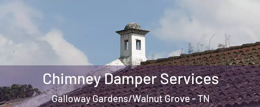 Chimney Damper Services Galloway Gardens/Walnut Grove - TN