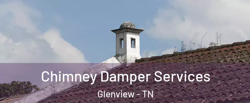 Chimney Damper Services Glenview - TN