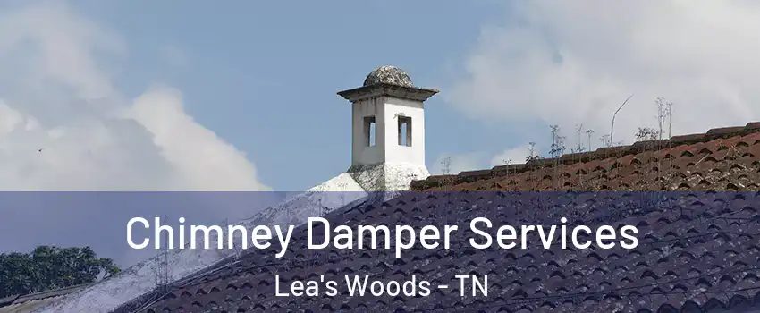 Chimney Damper Services Lea's Woods - TN