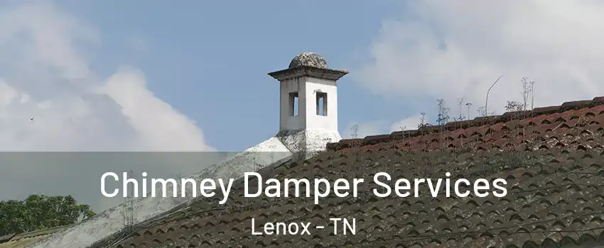 Chimney Damper Services Lenox - TN