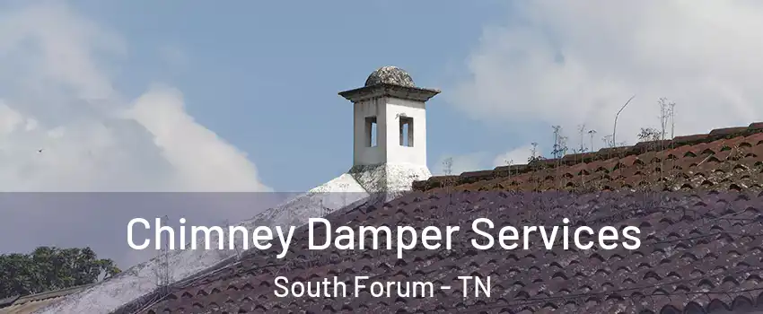 Chimney Damper Services South Forum - TN