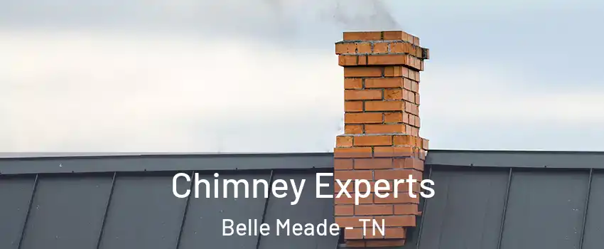 Chimney Experts Belle Meade - TN