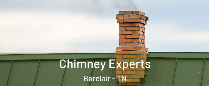 Chimney Experts Berclair - TN