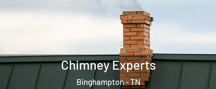 Chimney Experts Binghampton - TN