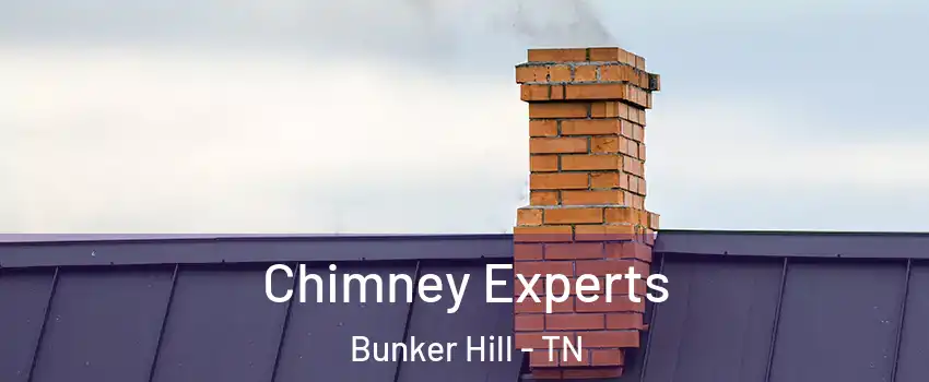 Chimney Experts Bunker Hill - TN