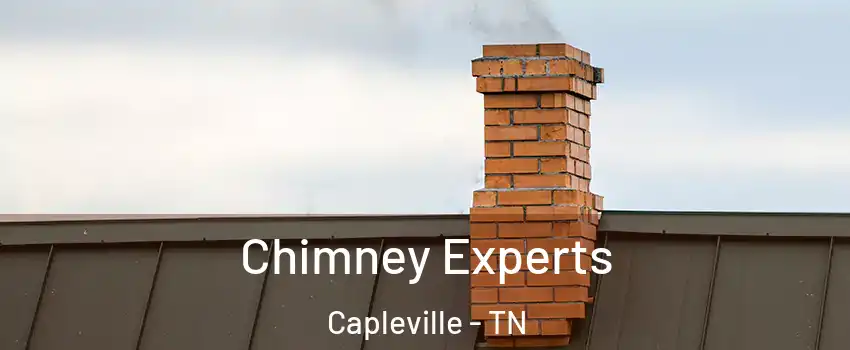 Chimney Experts Capleville - TN