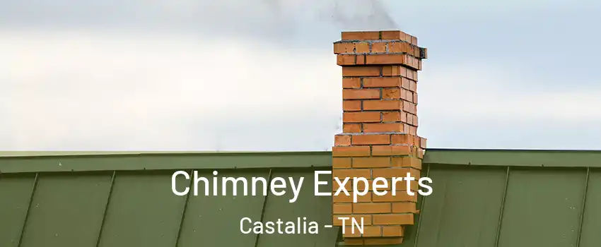 Chimney Experts Castalia - TN