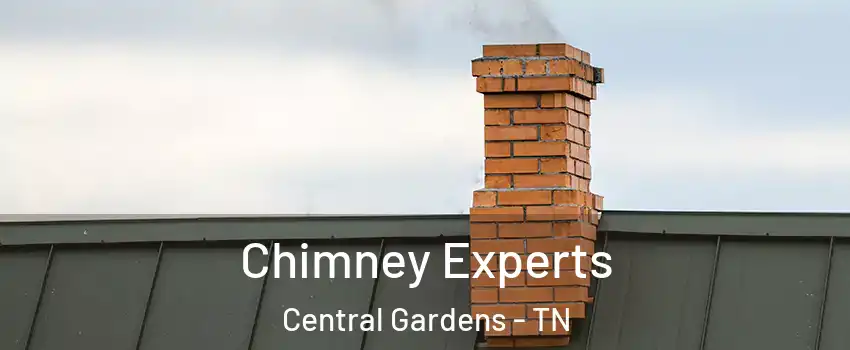 Chimney Experts Central Gardens - TN