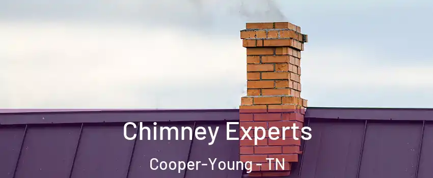 Chimney Experts Cooper-Young - TN