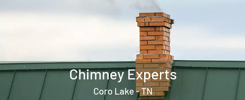 Chimney Experts Coro Lake - TN