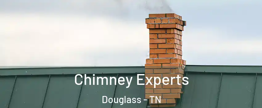 Chimney Experts Douglass - TN