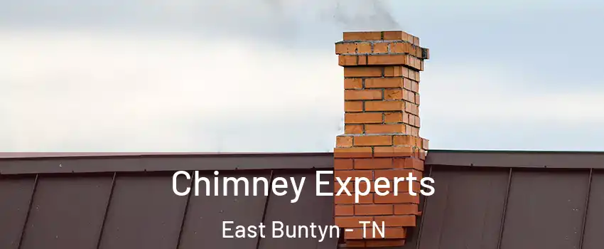 Chimney Experts East Buntyn - TN