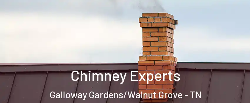 Chimney Experts Galloway Gardens/Walnut Grove - TN