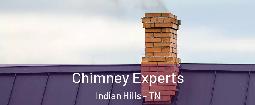 Chimney Experts Indian Hills - TN