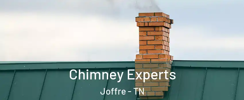 Chimney Experts Joffre - TN