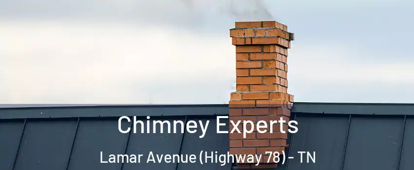 Chimney Experts Lamar Avenue (Highway 78) - TN