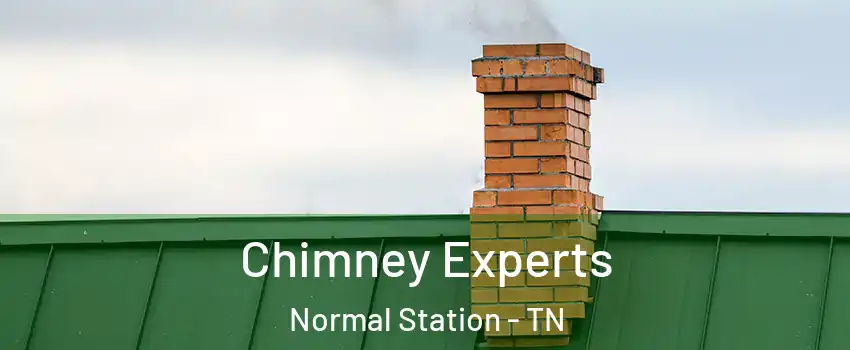 Chimney Experts Normal Station - TN