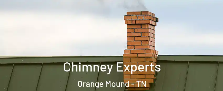 Chimney Experts Orange Mound - TN