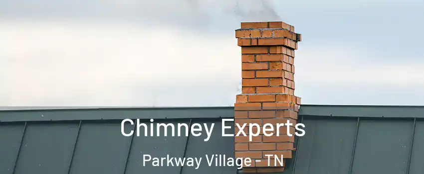 Chimney Experts Parkway Village - TN