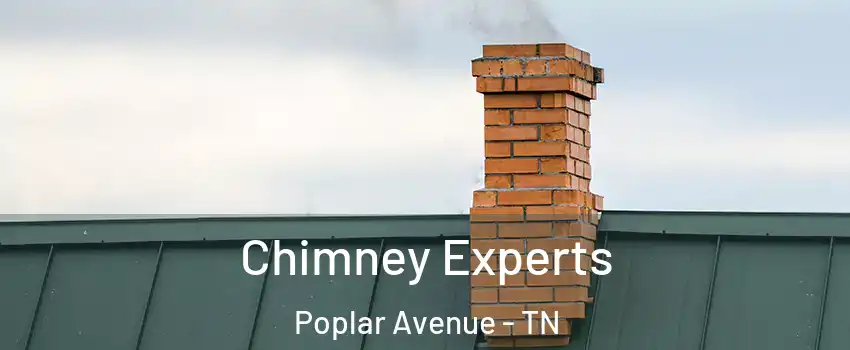 Chimney Experts Poplar Avenue - TN