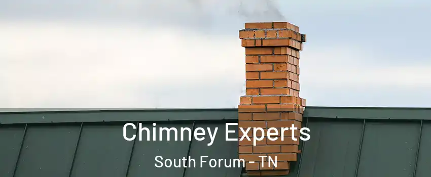 Chimney Experts South Forum - TN