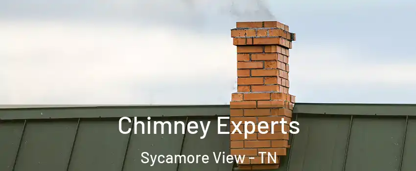 Chimney Experts Sycamore View - TN