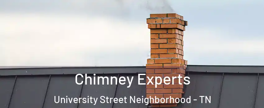 Chimney Experts University Street Neighborhood - TN