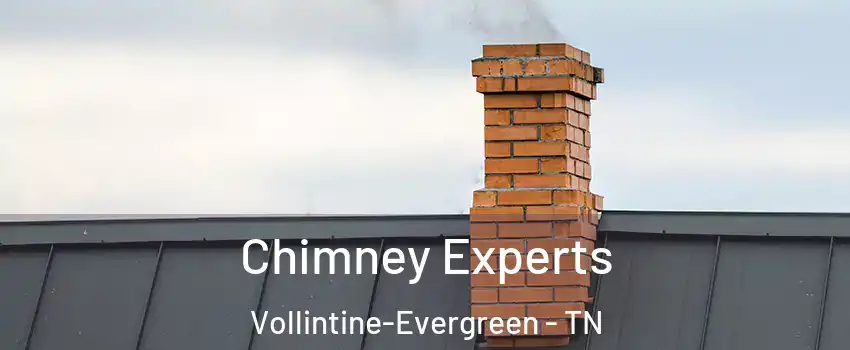 Chimney Experts Vollintine-Evergreen - TN