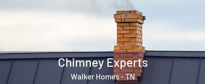 Chimney Experts Walker Homes - TN