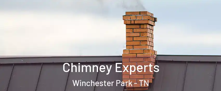 Chimney Experts Winchester Park - TN