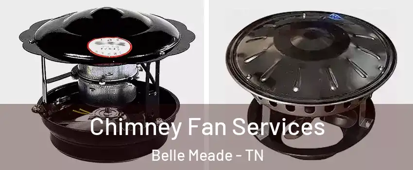 Chimney Fan Services Belle Meade - TN