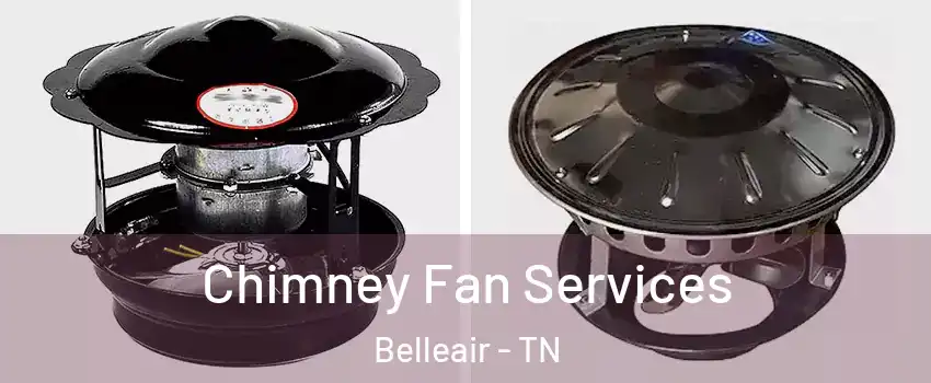 Chimney Fan Services Belleair - TN