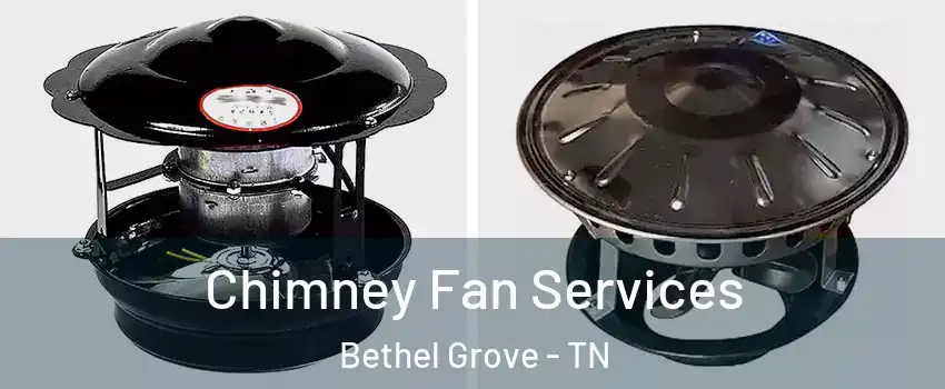 Chimney Fan Services Bethel Grove - TN