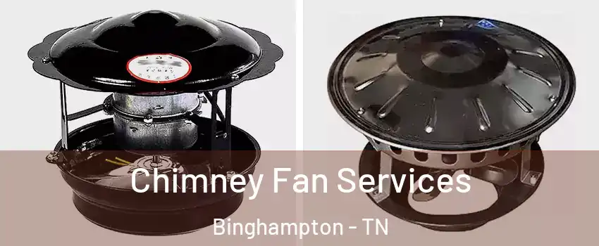 Chimney Fan Services Binghampton - TN