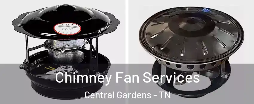 Chimney Fan Services Central Gardens - TN