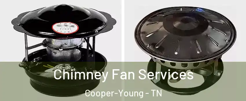 Chimney Fan Services Cooper-Young - TN