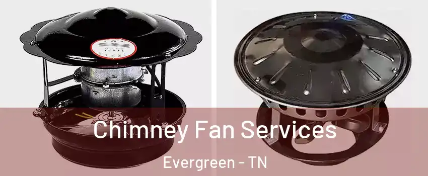 Chimney Fan Services Evergreen - TN