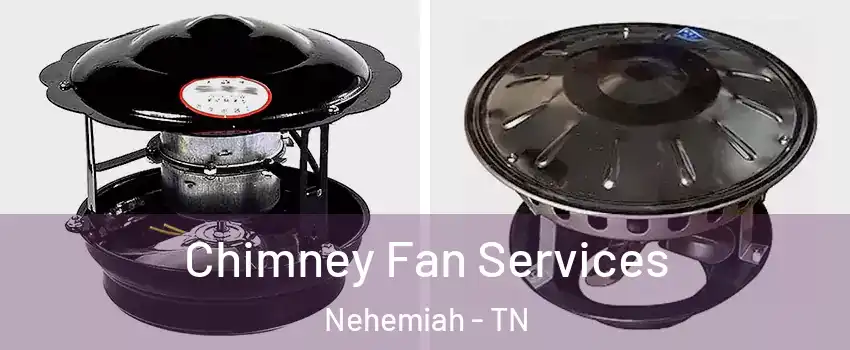 Chimney Fan Services Nehemiah - TN