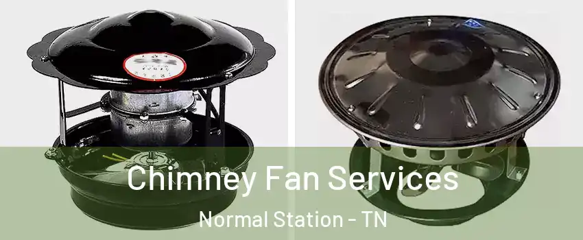 Chimney Fan Services Normal Station - TN