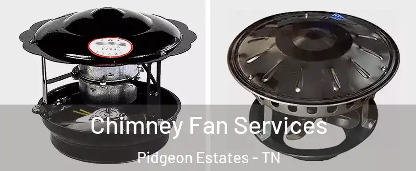 Chimney Fan Services Pidgeon Estates - TN