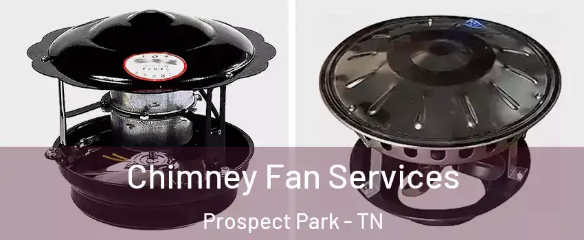 Chimney Fan Services Prospect Park - TN