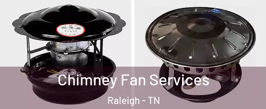 Chimney Fan Services Raleigh - TN