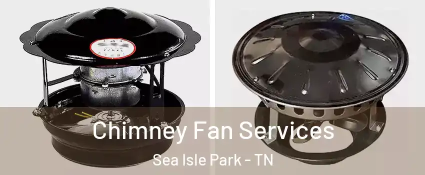 Chimney Fan Services Sea Isle Park - TN