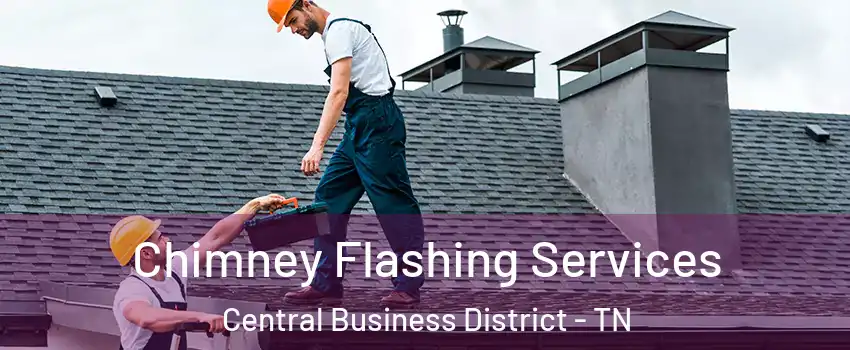 Chimney Flashing Services Central Business District - TN