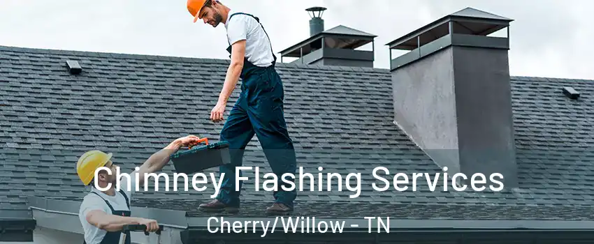 Chimney Flashing Services Cherry/Willow - TN