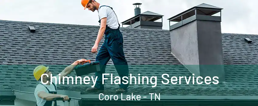 Chimney Flashing Services Coro Lake - TN